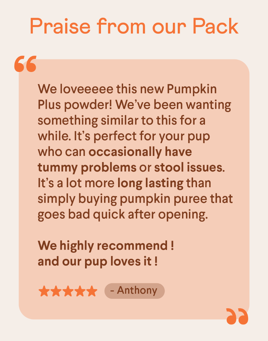 Check out what Finn customers are barking about