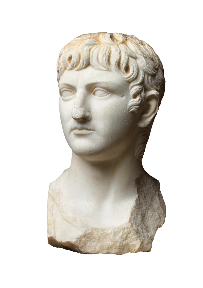 Germanicus excelled in his military campaigns, and the people of Rome considered him a hero. This bust represents the young Germanicus.