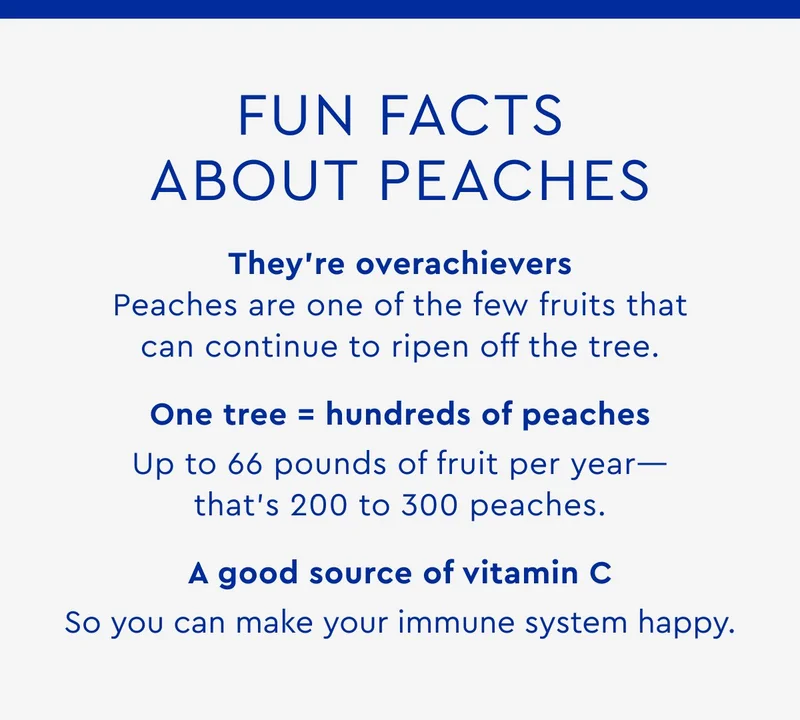 FUN FACTS ABOUT PEACHES