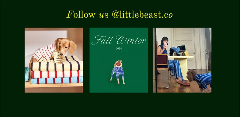 Follow us on Instagram