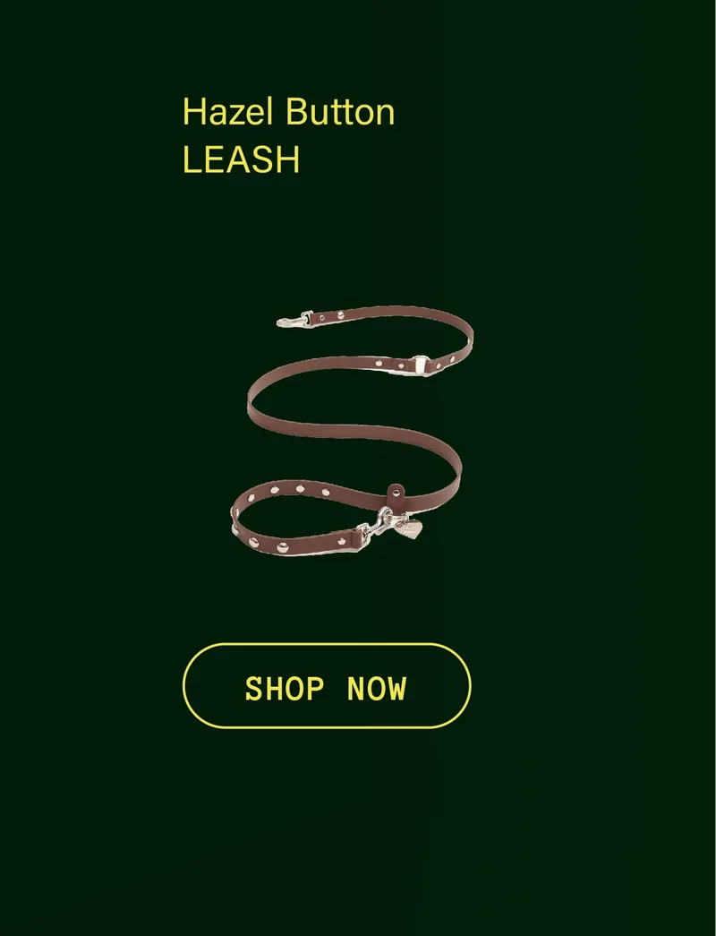 Hazel Button Leash