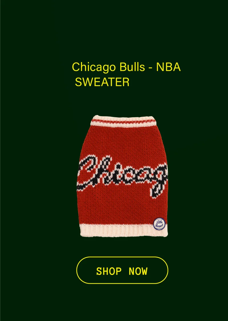 Chicago Bulls Dog Sweater