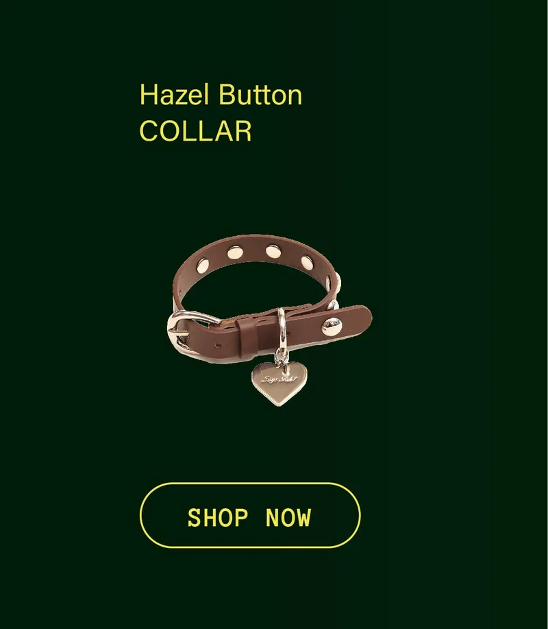 Hazel Button Collar