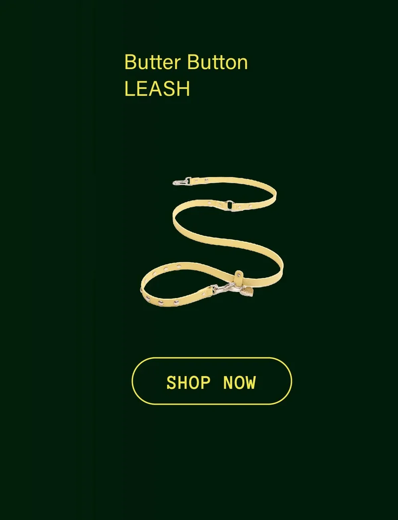 Butter Button Leash