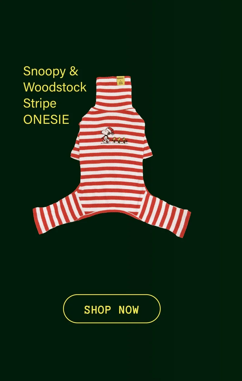 Snoopy & Woodstock Stripe Onesie