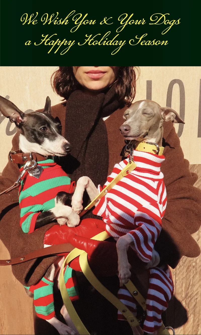 We Wish You & Your Dogs a Happy Holiday Season