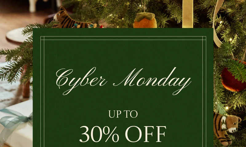 Shop our Black Friday Sale