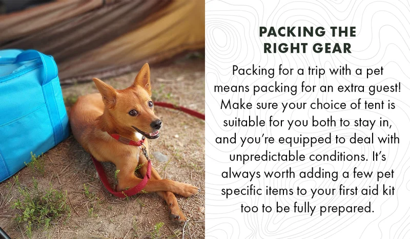 Packing The Right Gear