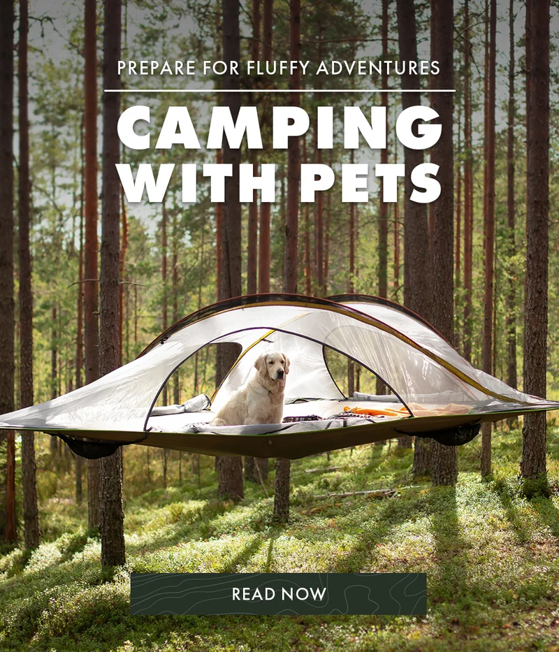 Camping With Pets