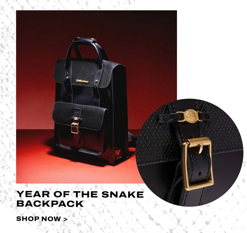 Year of the snake backpack