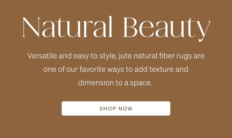 Shop Jute Rugs