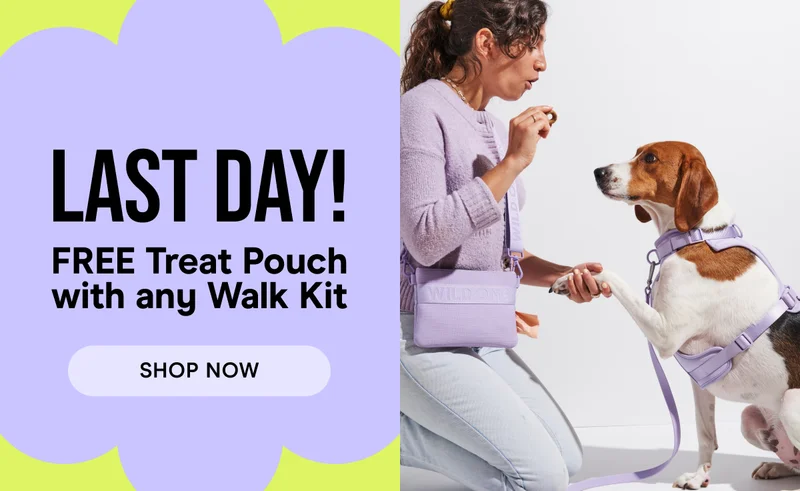 LAST DAY! Free Treat Pouch with any Walk Kit