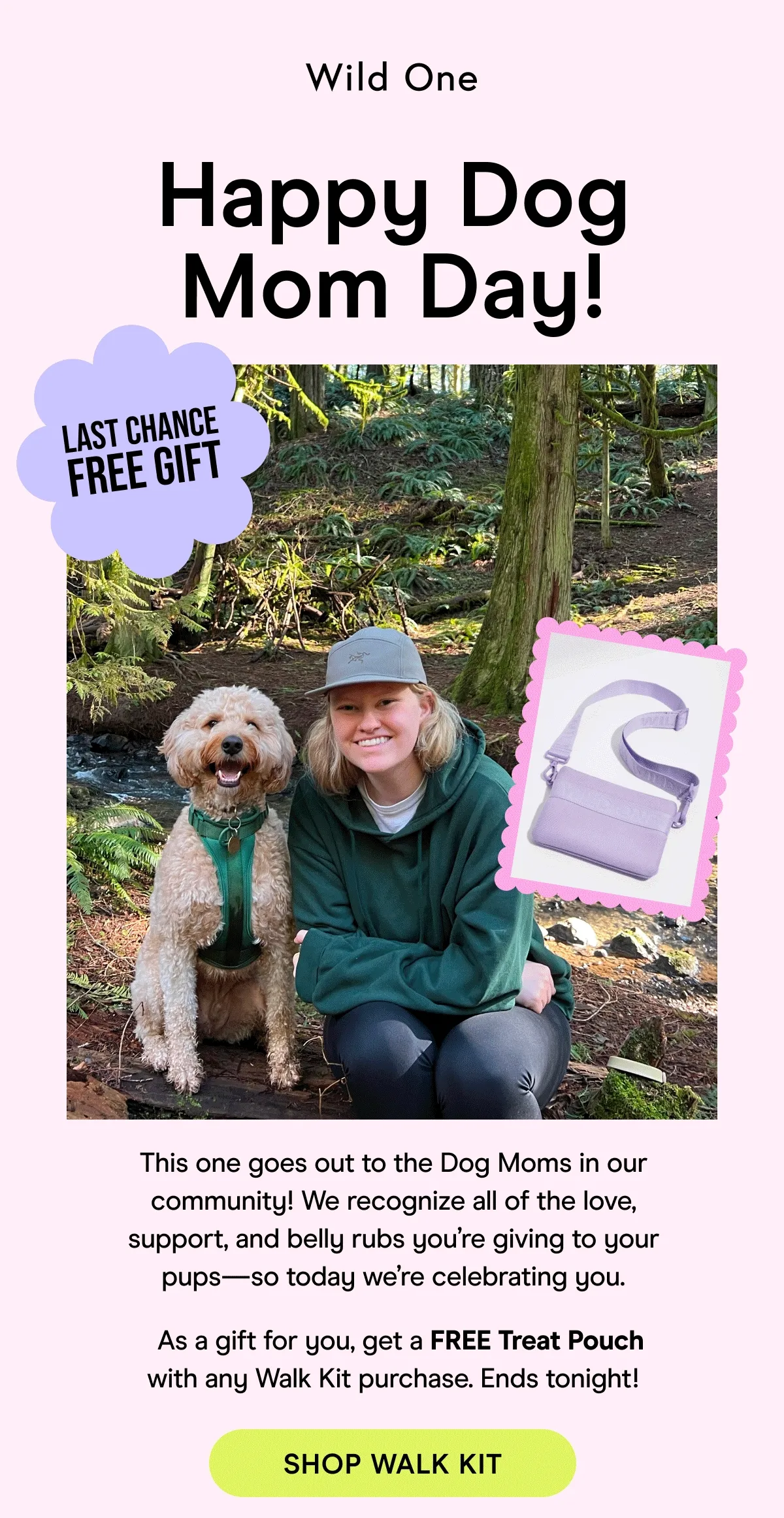 As a gift for you, get a FREE Treat Pouch with any Walk Kit purchase. Ends tonight!
