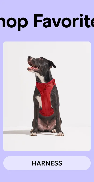 Shop Harness
