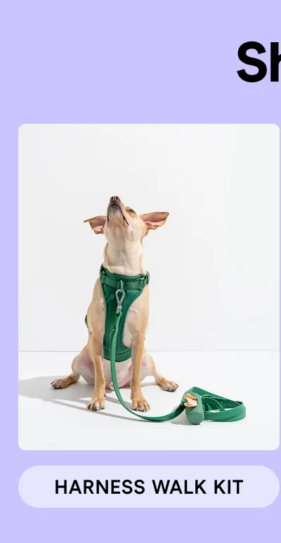 Harness Walk Kit
