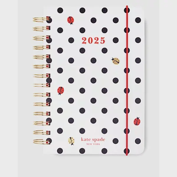 Ladybug Dot 2025 12-Month Medium Planner