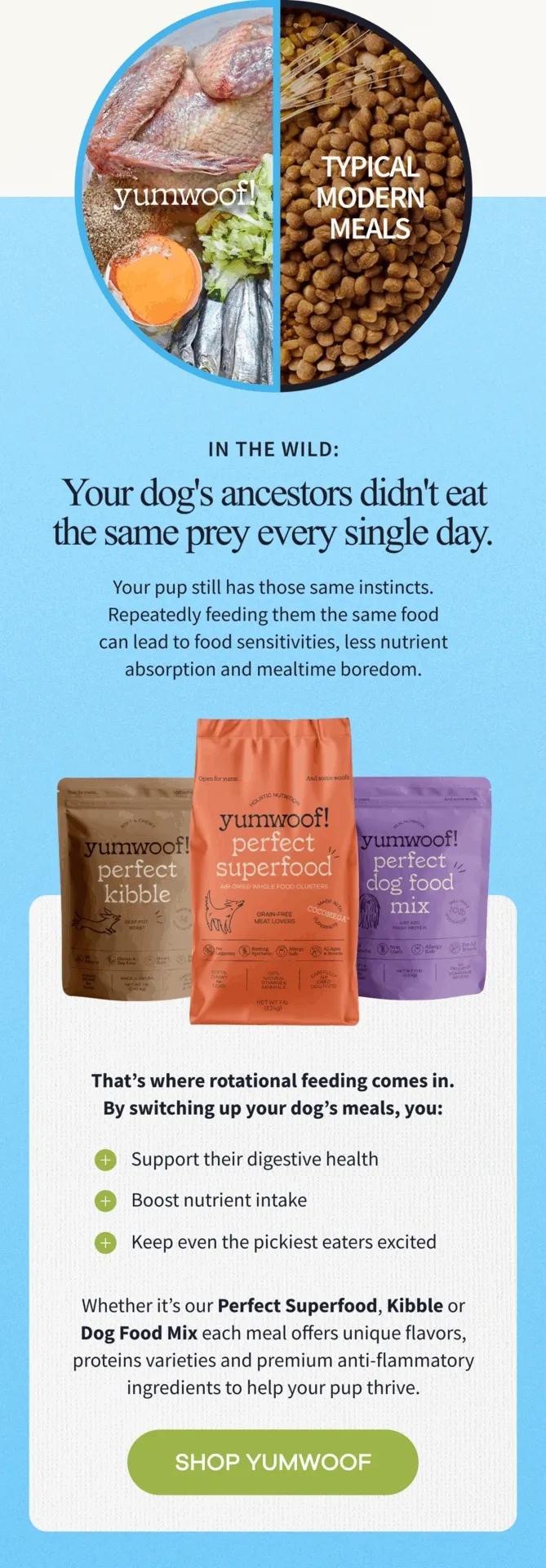 In The Wild: Your dog's ancestors didn't eat the same prey every single day. | Your pup still has those same instincts. Repeatedly feeding them the same food can lead to food sensitivities, less nutrient absorption and mealtime boredom. | Whether it’s our Perfect Superfood, Kibble or Dog Food Mix each meal offers unique flavors, proteins varieties and premium anti-flammatory ingredients to help your pup thrive. | SHOP YUMWOOF