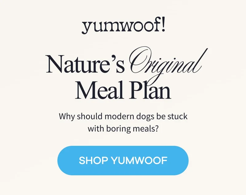 yumwoof! | Nature’s Original Meal Plan | Why should modern dogs be stuck with boring meals? | SHOP YUMWOOF