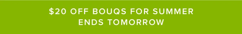 $20 OFF BOUQS ENDS TOMORROW! Use code SUNSHINE
