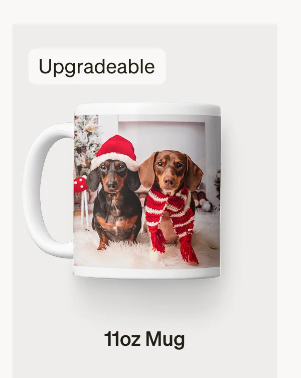 Pick 5 Free Gifts