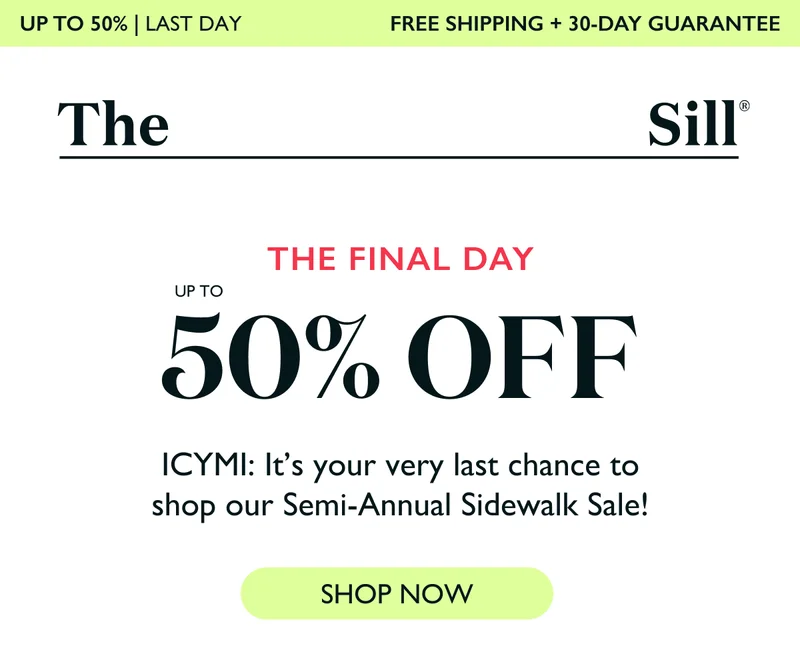 The final Day! Last chance to shop our Semi-Annual Sidewalk Sale.
