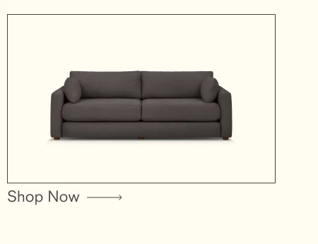 Span Sleeper Sofa