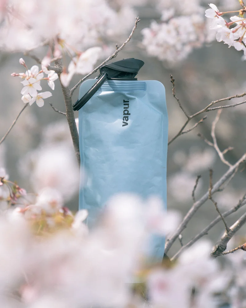 Bright Sky Case