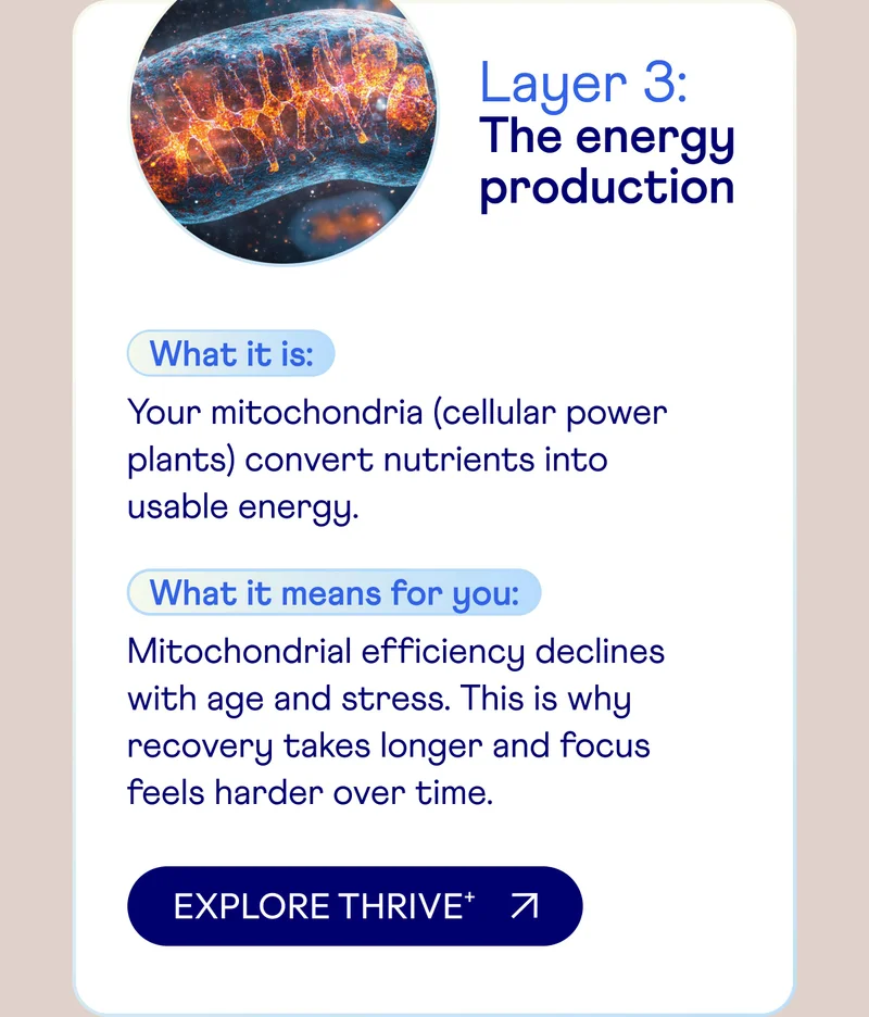 Layer 3: The energy production