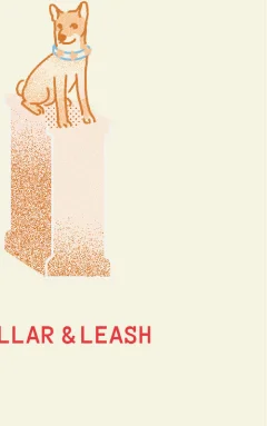 Collar & Leash