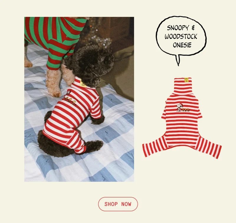 Snoopy & Woodstock Stripe Onesie