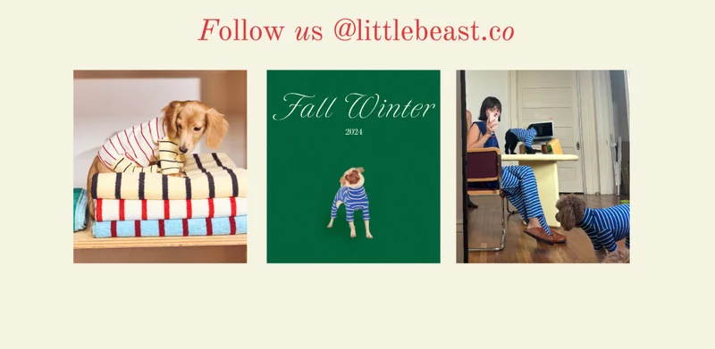 Follow us on Instagram