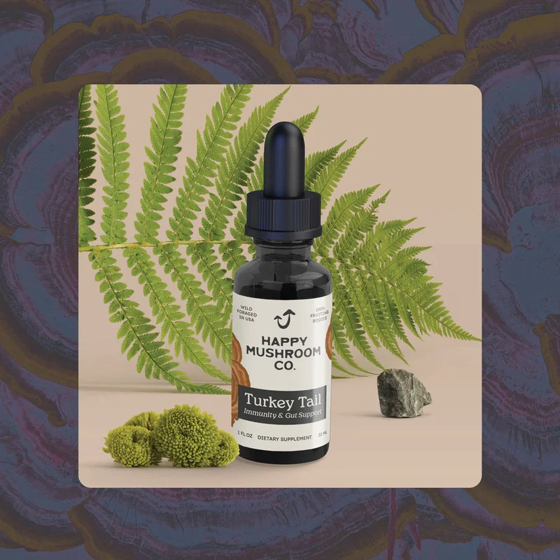 Image of Organic Turkey Tail Mushroom Tincture - Immune Health (1oz)