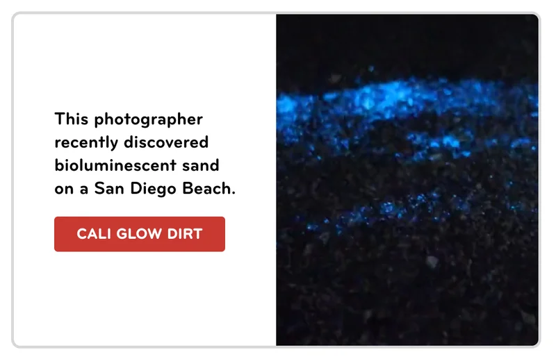 bioluminescent sand