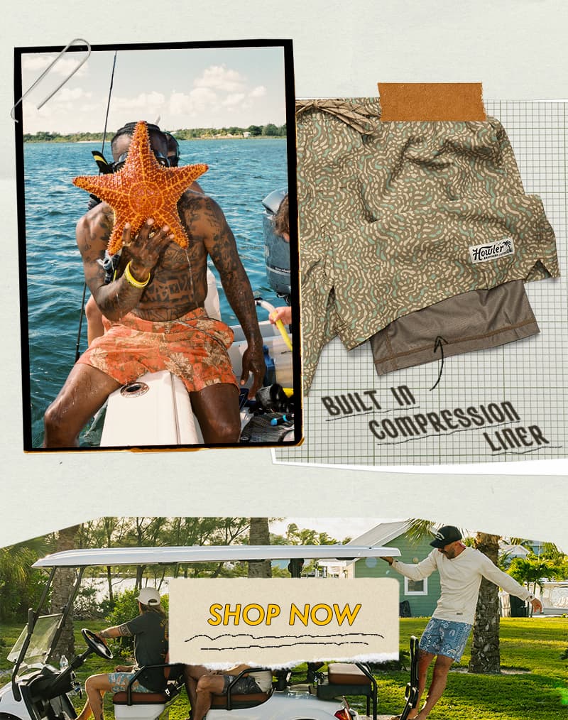 Shop Now