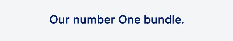 Our number One bundle. >>