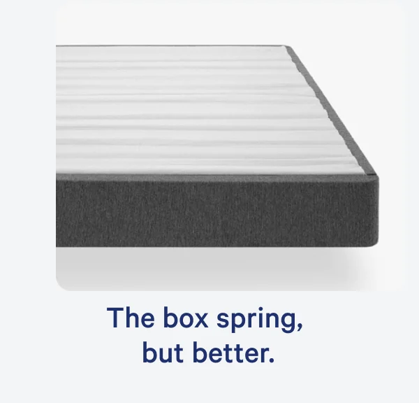 The box spring, but better. >>