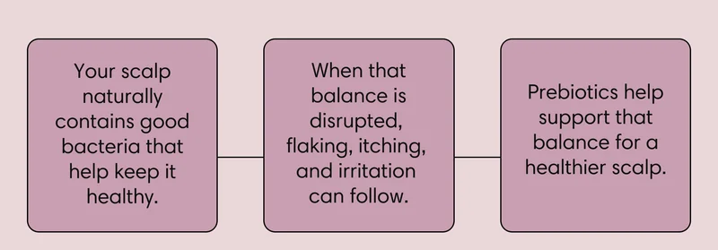 Three connected boxes explaining how prebiotics work: your scalp naturally contains good bacteria that help keep it healthy; when that balance is disrupted, flaking, itching, and irritation can follow; prebiotics help support that balance for a healthier scalp.
