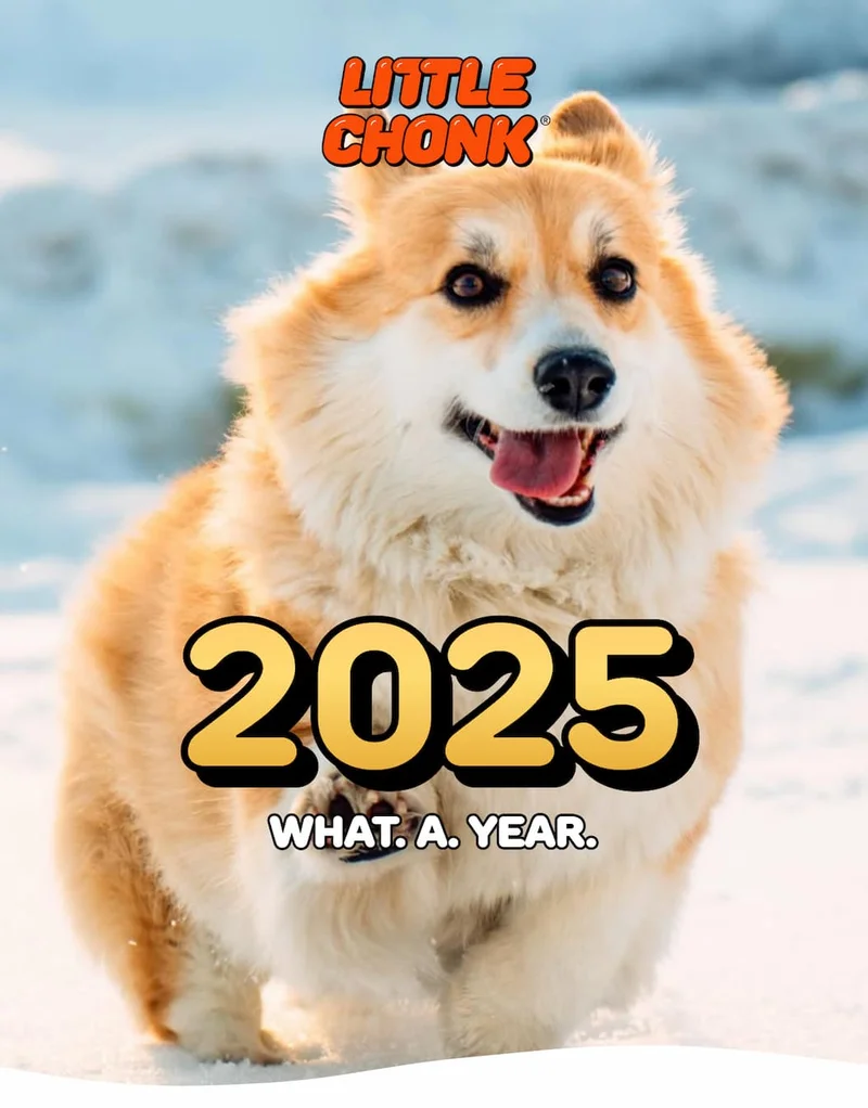 2025 What. a. year.