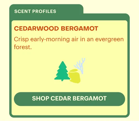 CEDARWOOD BERGAMOT - CRISP EARLY MORNING AIR IN AN EVERGREEN FOREST