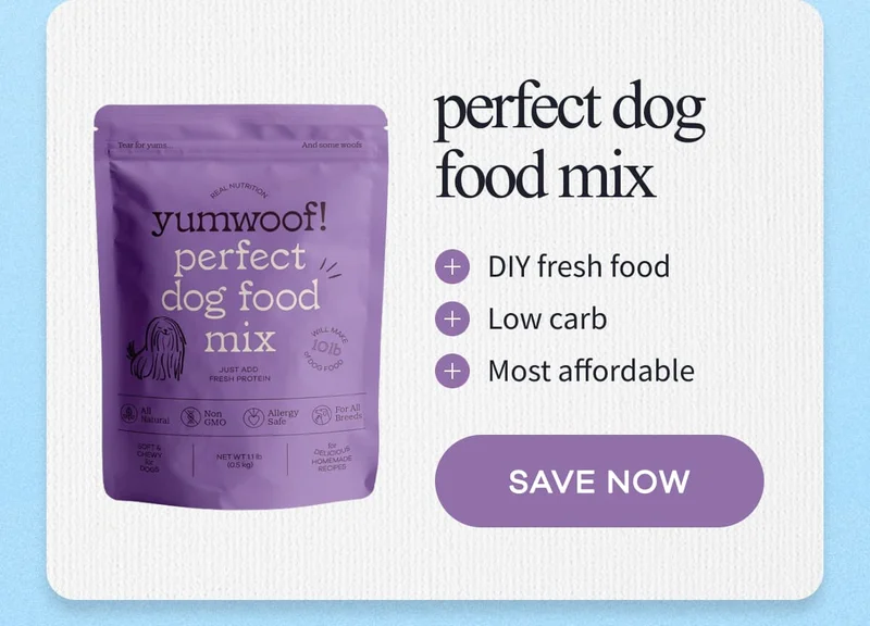 perfect dog food mix | SAVE NOW