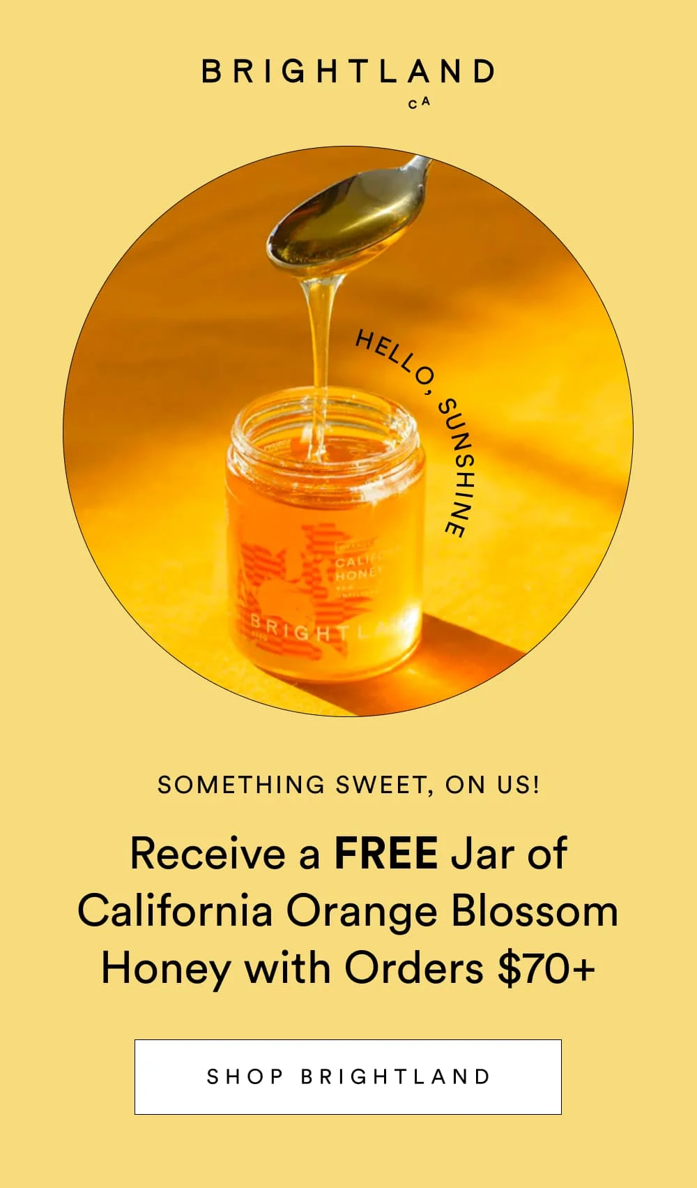 Receive a FREE Jar of California Orange Blossom Honey with Orders $70+  [ SHOP BRIGHTLAND ]
