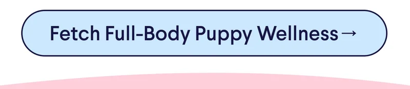 CTA: Fetch Full-Body Puppy Wellness→