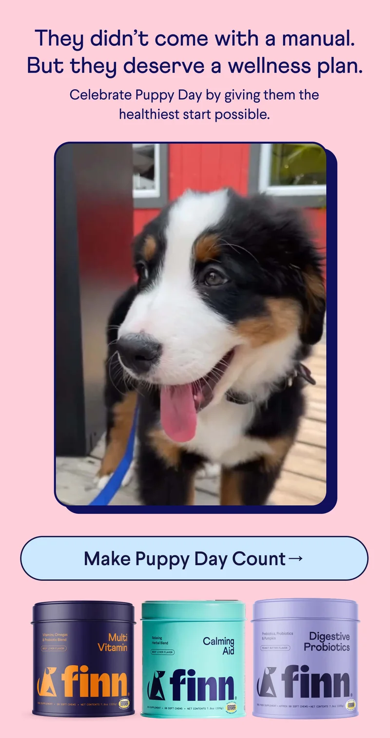 Text: They didn’t come with a manual. But they deserve a wellness plan.   Celebrate Puppy Day by giving them the healthiest start possible. CTA: Make Puppy Day Count –>