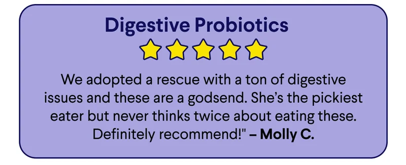 5 Star Review – Digestive Probiotics: We adopted a rescue with a ton of digestive issues and these are a godsend. She’s the pickiest eater but never thinks twice about eating these. Definitely recommend!" – Molly C.