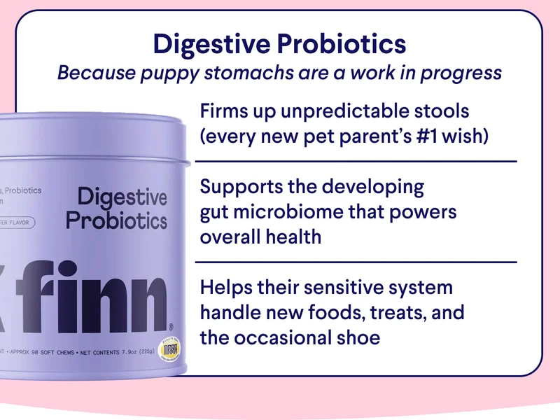 Text: Digestive Probiotics Because puppy stomachs are a work in progress Firms up unpredictable stools (every new pet parent’s #1 wish)  Supports the developing gut microbiome that powers  overall health  Helps their sensitive system handle new foods, treats, and the occasional shoe