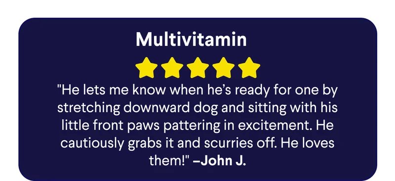 5 Star Customer Review – Multivitamin: "He lets me know when he’s ready for one by stretching downward dog and sitting with his little front paws pattering in excitement. He cautiously grabs it and scurries off. He loves them!" ­–John J.