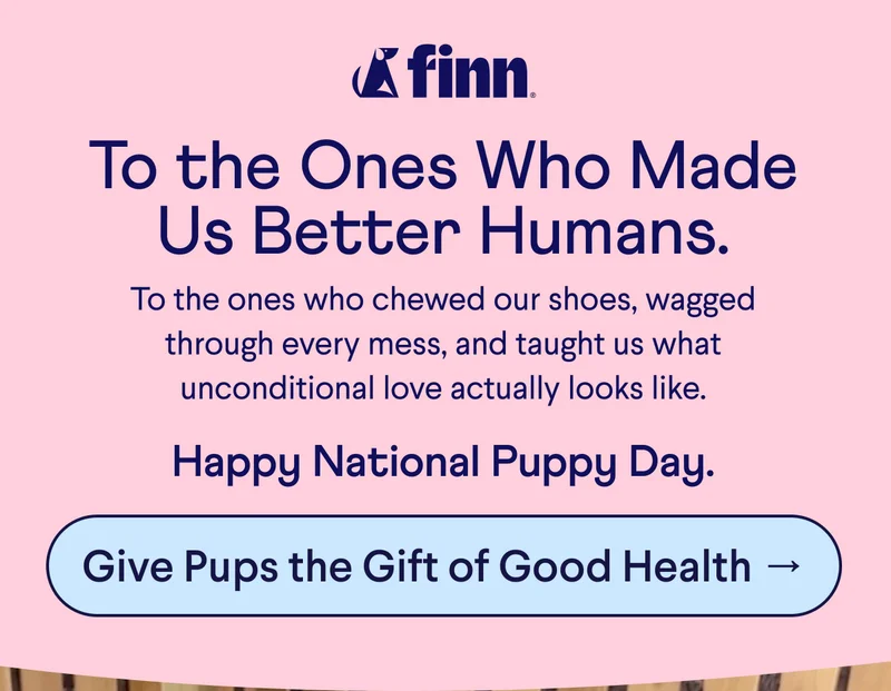 Finn logo. Text: To the Ones Who Made Us Better Humans. To the ones who chewed our shoes, wagged through every mess, and taught us what unconditional love actually looks like. Happy National Puppy Day. CTA: Give Pups the Gift of Good Health →