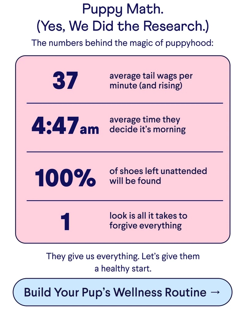 TEXT: Puppy Math. (Yes, We Did the Research.) The numbers behind the magic of puppyhood: 37 average tail wags per minute (and rising) 4:47am average time they decide it’s morning 100% of shoes left unattended will be found 1 look is all it takes to forgive everything They give us everything. Let’s give them a healthy start. CTA: Build Your Pup’s Wellness Routine →
