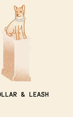 Collar & Leash