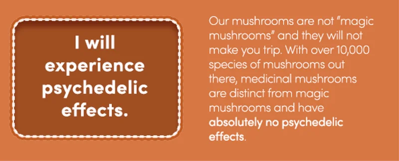 I will experience psychedelic effects. | Our mushrooms are not “magic mushrooms” and they will not make you trip. With over 10,000 species of mushrooms out there, medicinal mushrooms are distinct from magic mushrooms and have absolutely no psychedelic effects.